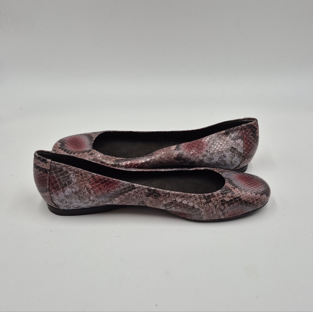 Stuart Weitzman-Snake Flat - Picture 9 of 11